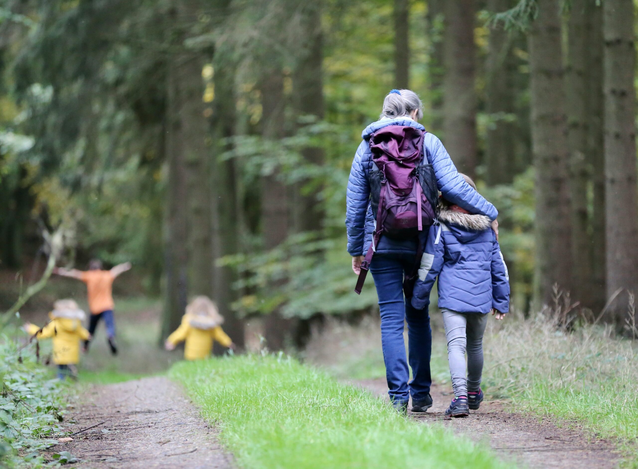 A woman and kids walk on a trail in the woods.